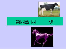 中兽医教学课件第5章-四------诊