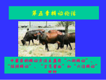 中兽医教学课件第五章辨证论治