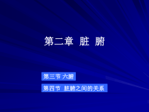中兽医学第二章脏腑课件