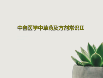 中兽医学中草药及方剂常识Ⅱ共37张课件