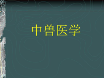 中兽医学课件