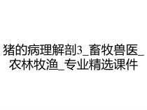 猪的病理解剖3_畜牧兽医_农林牧渔_专业精选课件