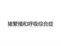 猪繁殖和呼吸综合症课件