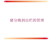 猪分娩到出栏的管理培训课件