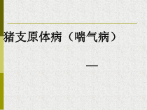 猪支原体病(喘气病)1课件