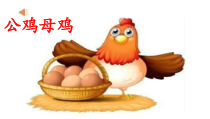 音乐【人音版】二年级上册《聆听 公鸡 母鸡》PPT课件4