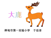 音乐【人音版】二年级上册《大鹿》PPT课件1