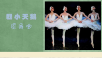 音乐【人音版】二年级上册《聆听 四小天鹅舞曲》PPT课件6