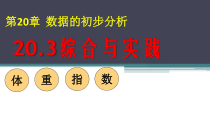 《20.3 综合与实践 体重指数》PPT课件3-八年级下册数学沪科版