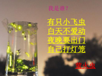 音乐【人音版（敬谱）】六年级上册《演唱 萤火虫》PPT课件1
