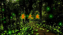 音乐【人音版（敬谱）】六年级上册《演唱 萤火虫》PPT课件3
