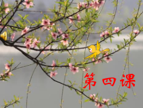 音乐【人音版（敬谱）】三年级下册《演唱 嘀哩嘀哩》PPT课件38