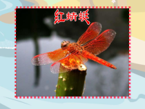 音乐【人音版（敬谱）】四年级下册《演唱 小小少年》PPT课件79