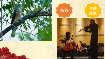 音乐【人音版（敬谱）】一年级下册《演唱 大鼓和小鼓》PPT课件58