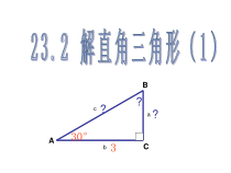 《解直角三角形》PPT课件1-九年级上册数学沪科版