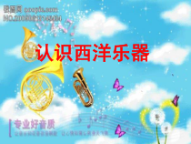 音乐【人音版】六年级上册《知识与技能 反复记号D.S.、西洋乐器分类（二）》PPT课件1