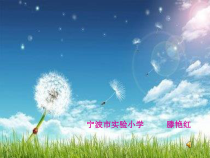 音乐【人音版】六年级下册《榕树爷爷》PPT课件3