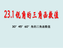 《特殊角的三角函数值》PPT课件3-九年级上册数学沪科版
