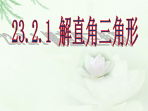 《解直角三角形》PPT课件2-九年级上册数学沪科版