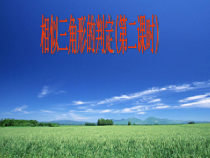 《用角的关系判定三角形相似》PPT课件3-九年级上册数学沪科版