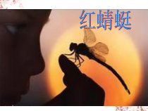 音乐【人音版】四年级下册《红蜻蜓》PPT课件3(共9页)