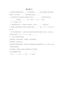 《22.4 图形的位似变换》课后习题-九年级上册数学沪科版