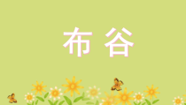 音乐【人音版】一年级下册《布谷》PPT课件3(共13页)