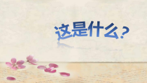 音乐【人音版】一年级下册《这是什么》PPT课件3(共11页)