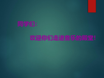 音乐【人音版】一年级下册6《闪烁的小星星》PPT课件(共12页)