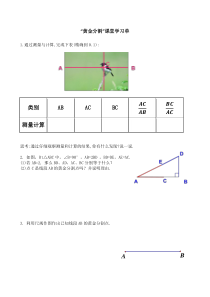 《黄金分割》学习单-九年级上册数学沪科版