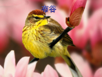音乐【人音版】一年级下册第一课《春天-演唱 布谷》PPT课件4