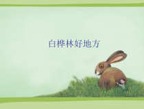 音乐【人音版（五线谱）】四年级下册《白桦林好地方》PPT课件2
