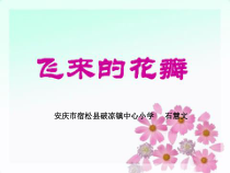 音乐【人音版】三年级下册《飞来的花瓣》PPT课件6