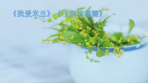 音乐【人音版】三年级下册《我爱米兰》PPT课件5
