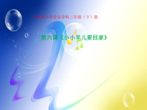 音乐【人音版】三年级下册《小小羊儿要回家》PPT课件1