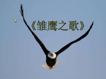 音乐【人音版】五年级上册《演唱 雏鹰之歌》PPT课件1