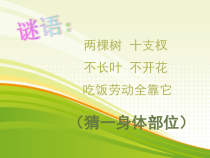 音乐【人音版】一年级下册《粉刷匠》PPT课件7