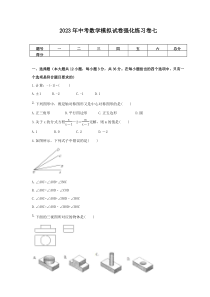 2023年中考数学模拟试卷强化练习卷七（含答案）