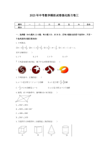 2023年中考数学模拟试卷强化练习卷三（含答案）