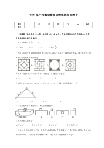 2023年中考数学模拟试卷强化练习卷十（含答案）