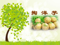 音乐【苏少版】六年级上册《唱：唱得幸福落满坡 掏洋芋》PPT课件1