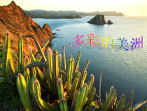 音乐【苏少版】六年级下册《唱：拉库卡拉查 鸟儿多美丽》PPT课件3