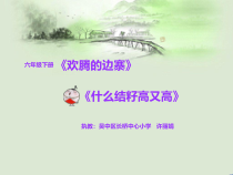音乐【苏少版】六年级下册《唱：苏木地伟 什么结籽高又高》PPT课件3