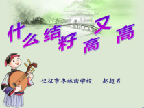 音乐【苏少版】六年级下册《唱：苏木地伟 什么结籽高又高》PPT课件2