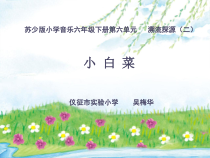 音乐【苏少版】六年级下册《唱：小白菜 夜歌》PPT课件2