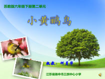 音乐【苏少版】六年级下册《唱：小黄鹂鸟 小巴郎，童年的太阳》PPT课件4