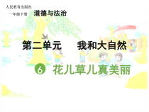 《6 花儿草儿真美丽》PPT课件2-统编五四制一年级下册道德与法治