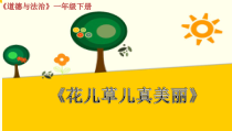 《6 花儿草儿真美丽》PPT课件1-统编五四制一年级下册道德与法治