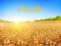 音乐【苏少版】四年级上册《唱：丰收之歌 打麦号子》PPT课件3