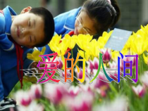 音乐【苏少版】五年级上册《唱：七子之歌—澳门 爱的人间》PPT课件4